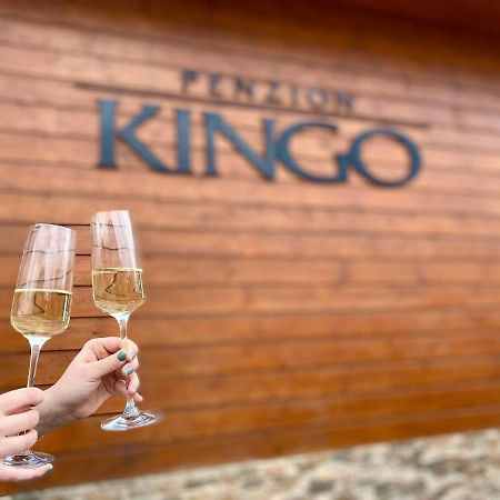 Penzión Kingo Nemšová Exterior foto