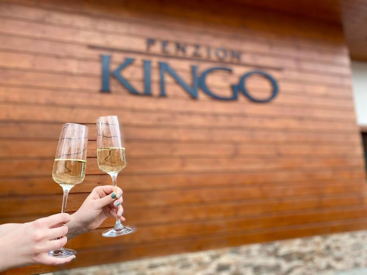 Penzión Kingo Nemšová Exterior foto